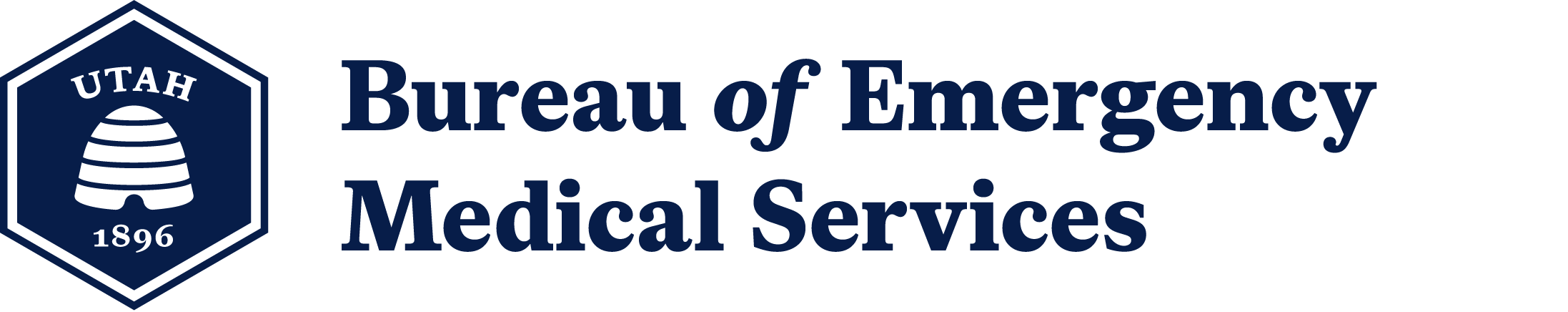 Featured image for “BEMS Strategic Plan”