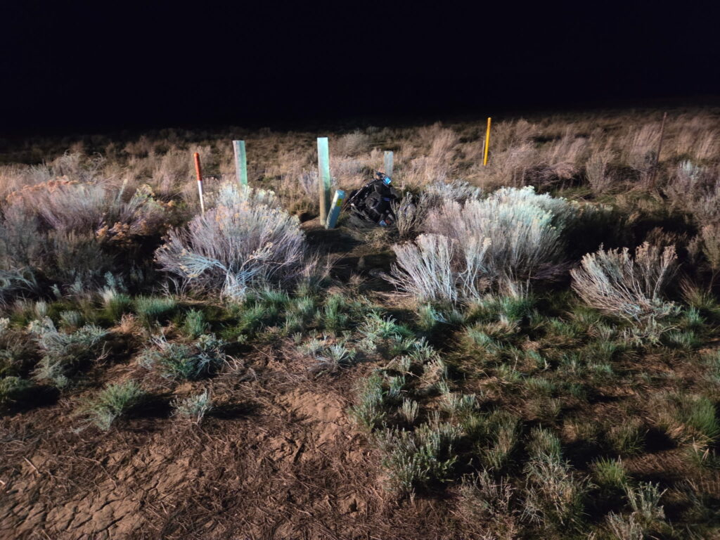 Crashed motorcycle on the side of the highway.